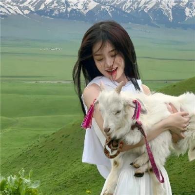 计中计状元财